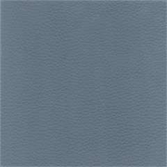 Delta Vinyl Upholstery Fabric